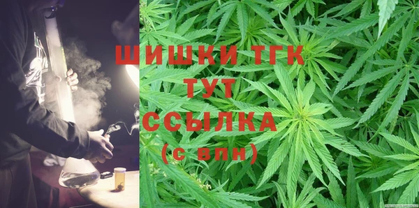 индика Абдулино