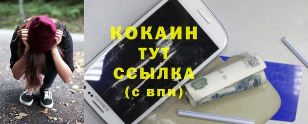 индика Абдулино