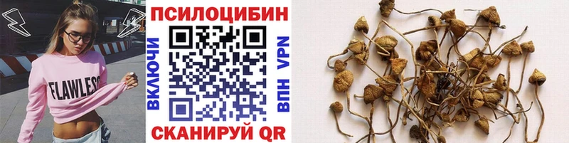 Псилоцибиновые грибы мухоморы  купить наркоту  Приволжский 