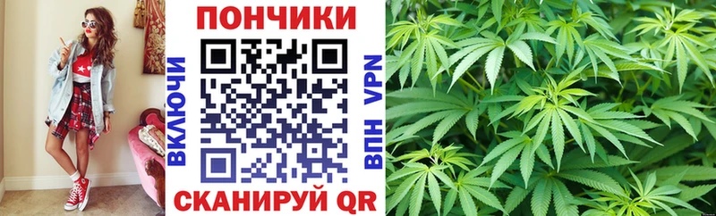 Бошки марихуана MAZAR  цена   маркетплейс формула  Приволжский 